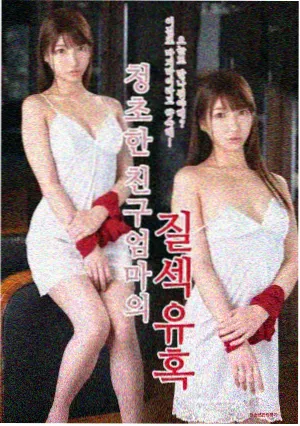 橙皮手记观察卡封面